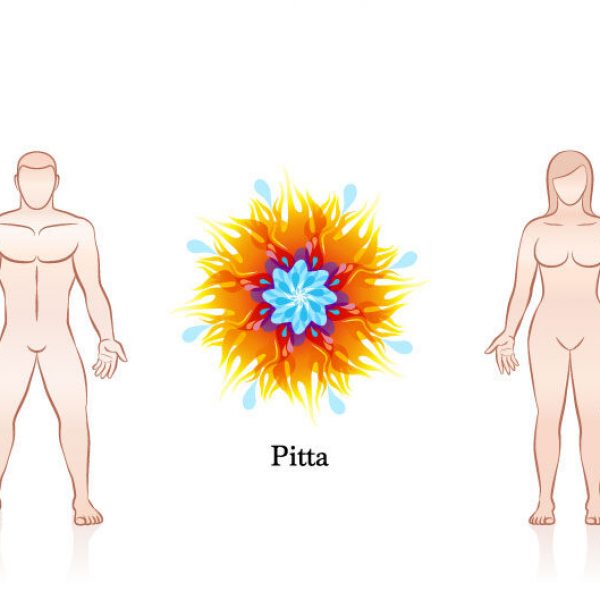 pitta- dosha-flavor-journey-blog