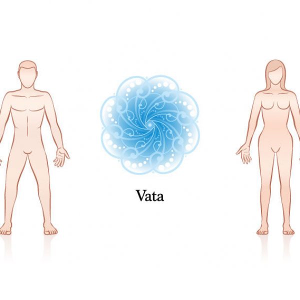 vata dosha-flavor-journey-blog